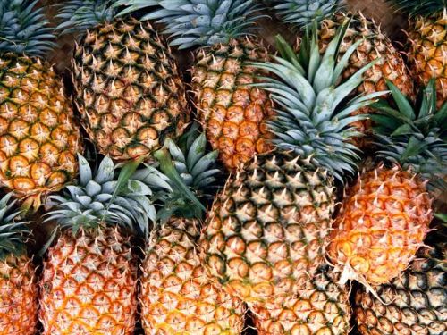 Pineapple, Packaging Size : 20 Kg