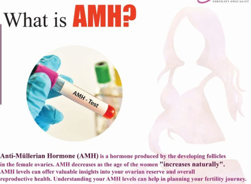 What Is AMH? Best IVF Specialist In Bhubaneswar | Dr. Rohani Nayak