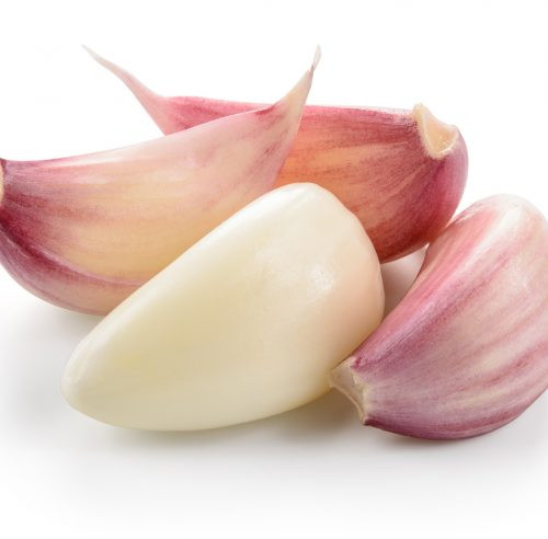 Garlic Premium Quality For Spices, Cooking, Human Consumption