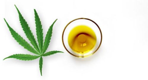 Hemp Oil Premium Quality