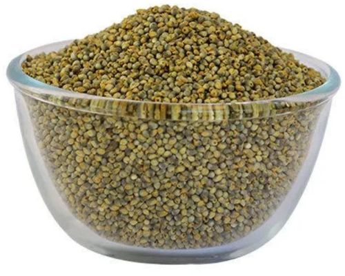 Organic Green Millet Seeds, Variety : Hybrid