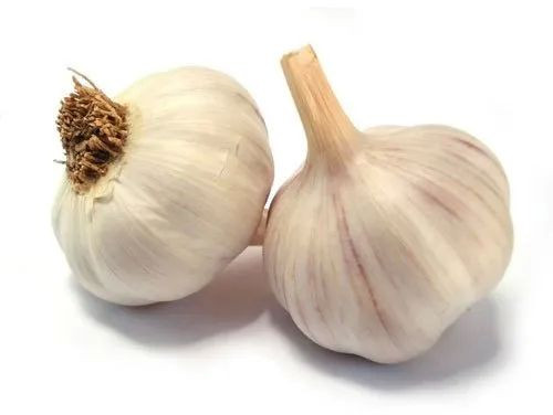 Fresh Garlic For Cooking