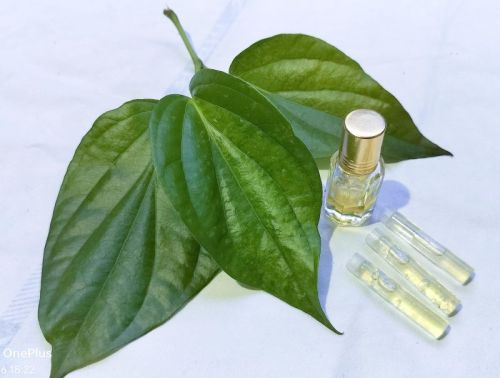 Natural Betel Leaf Oil For Industrial Use