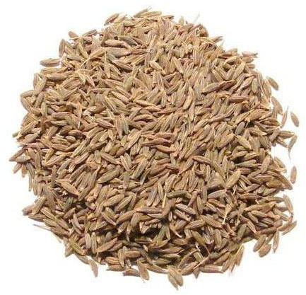 Raw Natural Fresh Cumin Seeds For Cooking