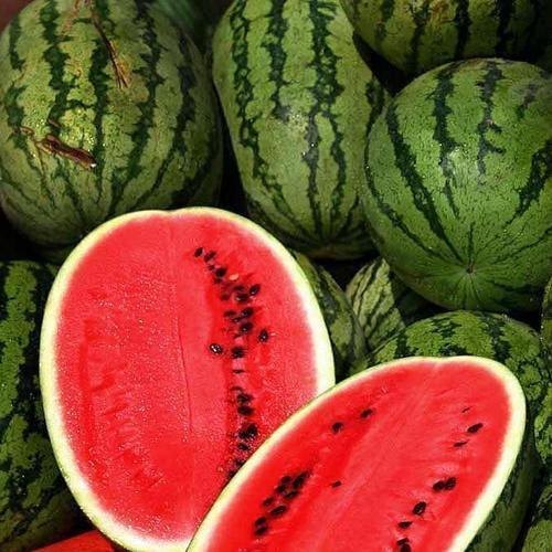 Natural Fresh Watermelon For Human Consumption