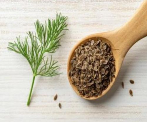 Organic Dill Seeds, Color : Brown