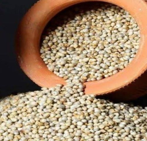 Organic Pearl Millet Seeds, Grade : Food Grade