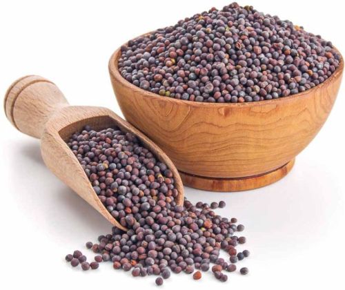 Mustard Seeds For Food Medicine, Spices