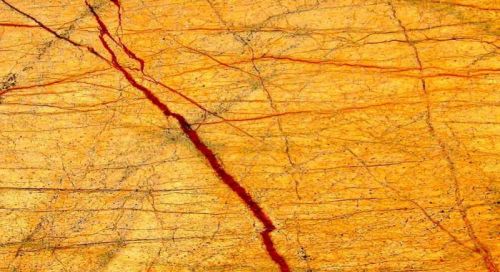 Indian Rainforest Gold Marble Slab For Construction