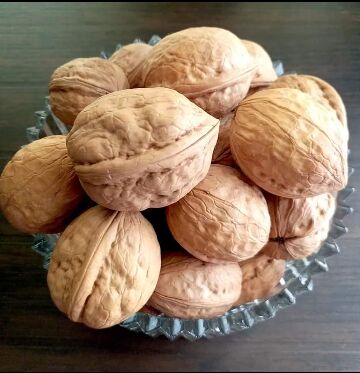 Kashmiri Walnuts For Cooking, Oil Extraction