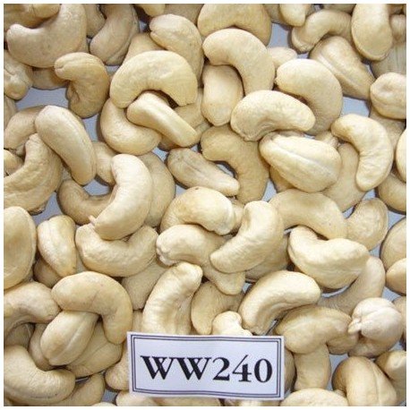 Cashew W240, Packaging Type : Plastic Bag