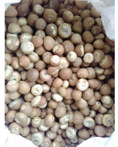 Organic Dried Betel Nut For Ayurvedic Formulation, Chinese Medicines, Cooking, Food, Herbal, Herbal Formulation