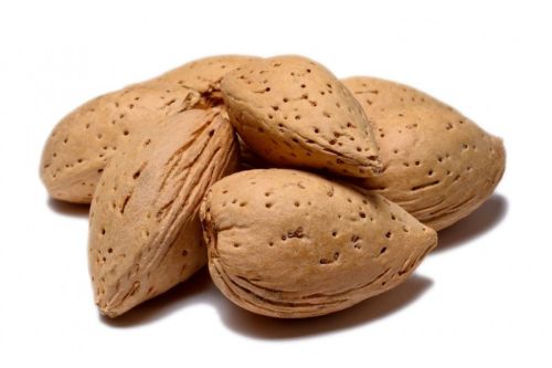 Shelled Almonds, Packaging Type : Sacks