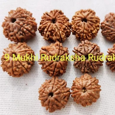 9 Mukhi Rudraksha Beads For Religious