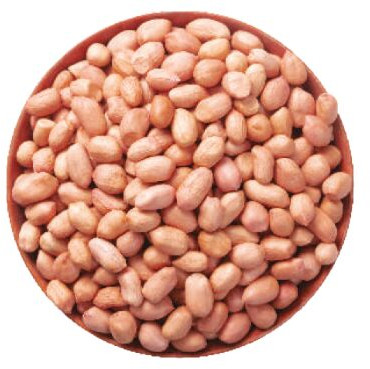 Natural Java Peanuts, Packaging Type : Sacks