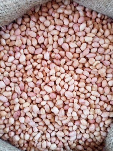 Natural Dried Peanut Kernel For Butter, Cooking Use, Making Oil