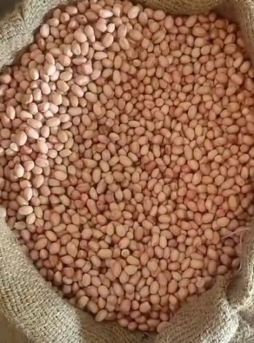 Common Java Peanuts For Direct Consumption, Home