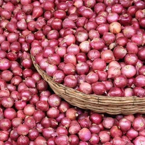 Fresh Red Onion For Cooking