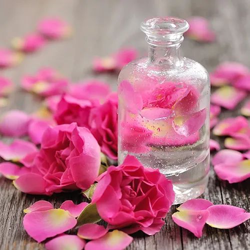 Organic Rose Water For Skin Care