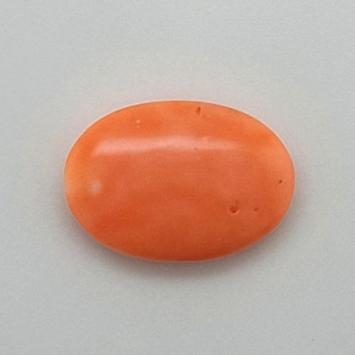 Polished Coral Gemstone For Jewellery