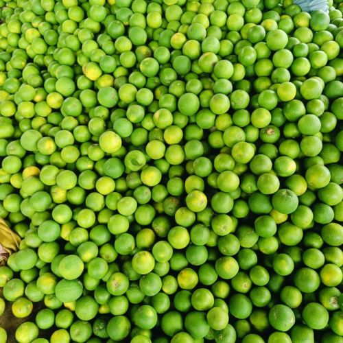 Sweet Lime, Packaging Type : Direct Load