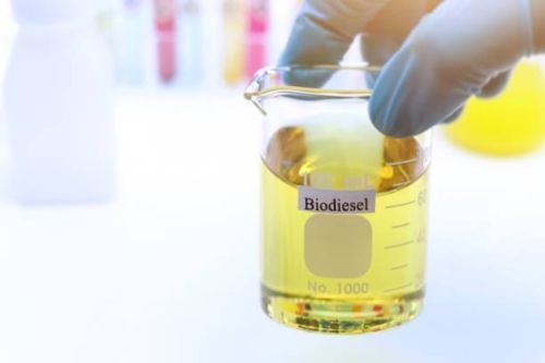 BIODIESEL B100, Condition : Refined