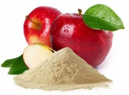 Apple Powder For Human Consumption