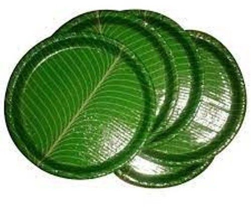 Green Paper Plate For Event, Party