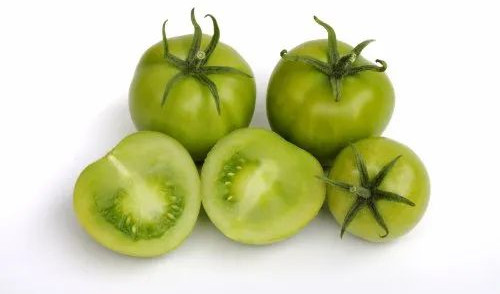 Fresh Green Tomato, Packaging Type : Gunny Bag