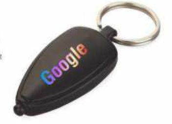 Plastic Logo Highlight Keychain For Office, Personal, Promotional Giveaway