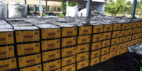 Coconut shell charcoal briquettes