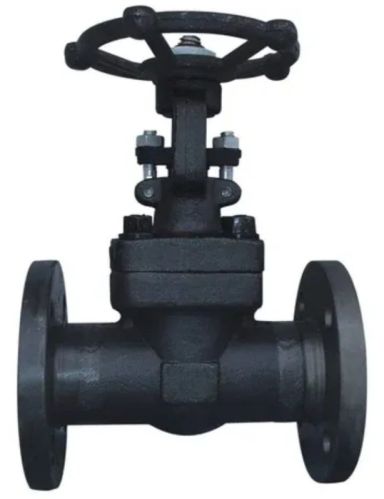 Forged Steel Gate Valve For Oil Fitting, Water Fitting