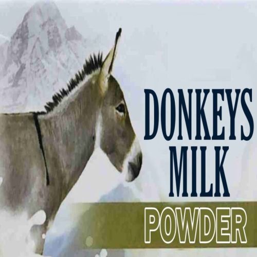 Donkey Milk Powder, Color : White