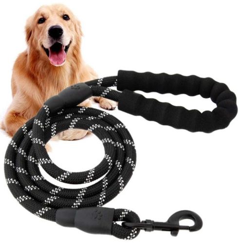 Poyster Black Dog Leash