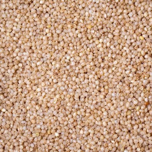 Little Millet - Semi Polished