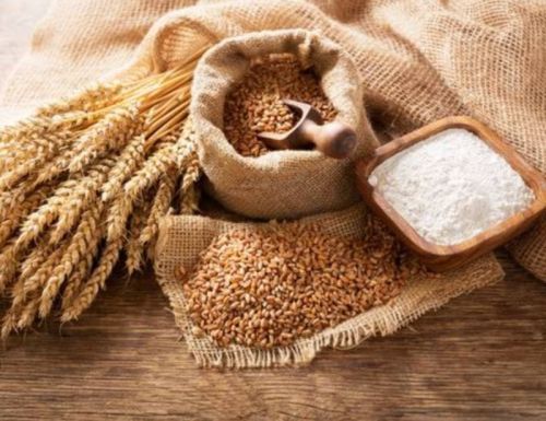 Organic Wheat Flour for Cooking