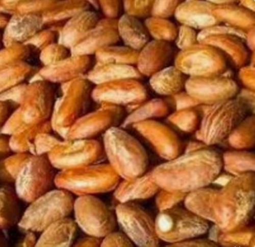 Bitter kola, Purity : 98%, Packaging Type : 50kg sack