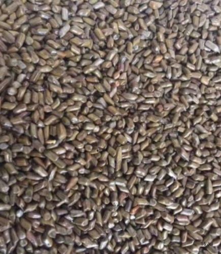 Cassia Tora Seeds, Purity : 98%