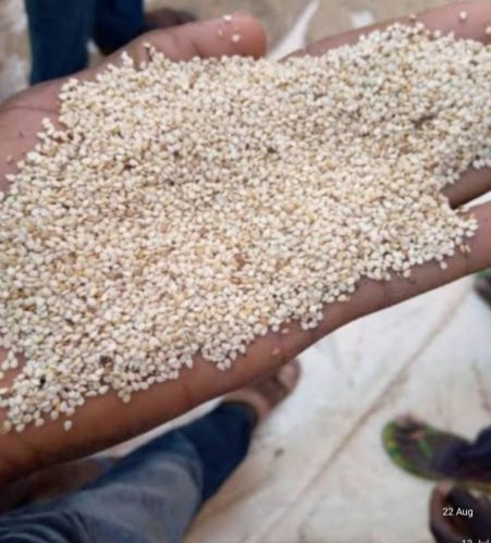 Sesame seeds Small To Medium (2-3mm), Purity : 99.5%