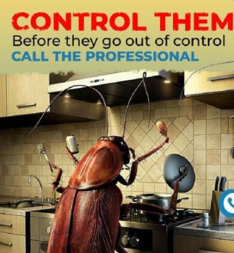Cockroach Control