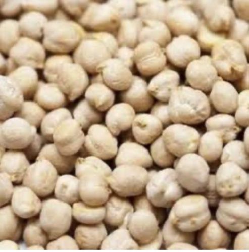 Kabuli Chana For Food, Beauty