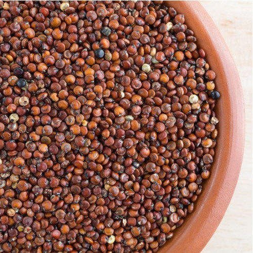 Organic Red Quinoa Seeds, Packaging Type : PP Bag