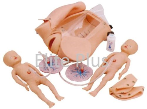 Advanced Delivery Mechanism Demonstration Simulator, Packaging Type : BOX