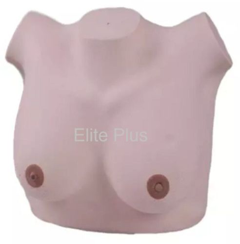 PVC Plastic GP Breast Inspection Model For Nursing Training