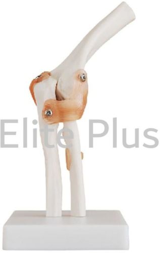 XC Non Polished PVC Elbow Joint For Educational Use, Hospital, Nursing Collage, School, Collage