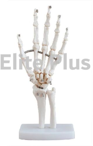 XC Non Polished PVC Hand Joint For Educational Use, Hospital, Nursing Collage, School, Collage