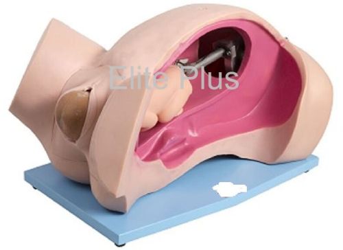 PVC Plastic Plain Leopold Maneuvers Simulator, Packaging Type : Box