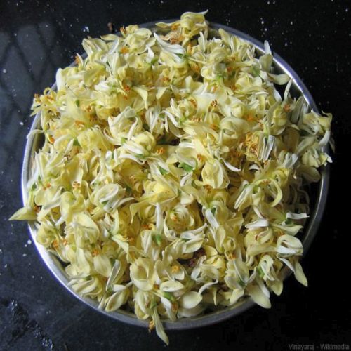 Organic Moringa Dry Flower, Color : Creamy