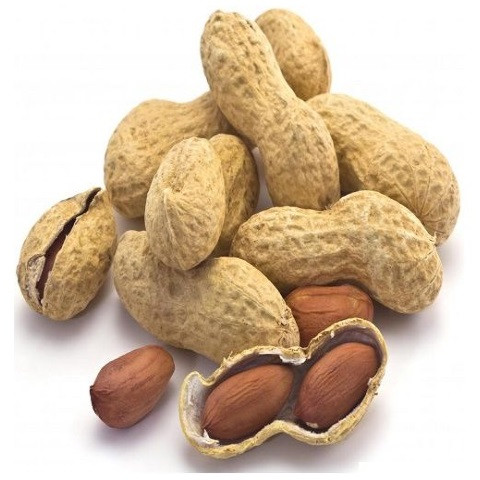 Groundnut Seeds For Food, Cooking