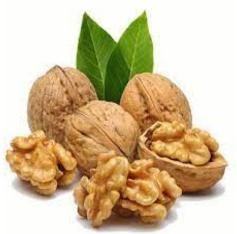Walnut For Herbal Formulation, Cooking